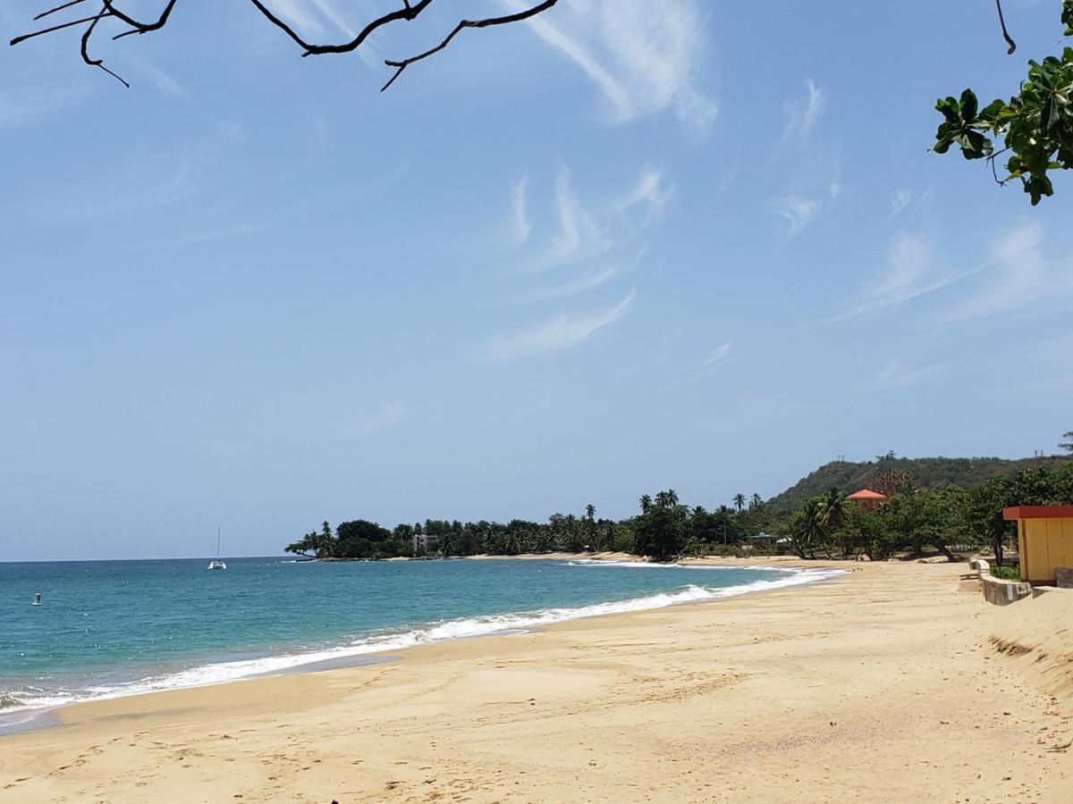 Wave View Village - Beach Front - Luxury Spot Rincon Exterior photo